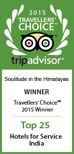 Best-service-India-2015